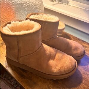 Chestnut UGGS - Mini - Womens 8